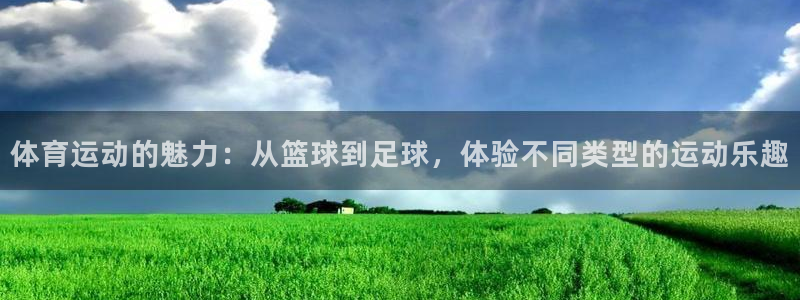 MK体育官网下载平台是正规平台吗安全吗:体育运动的魅力:从篮