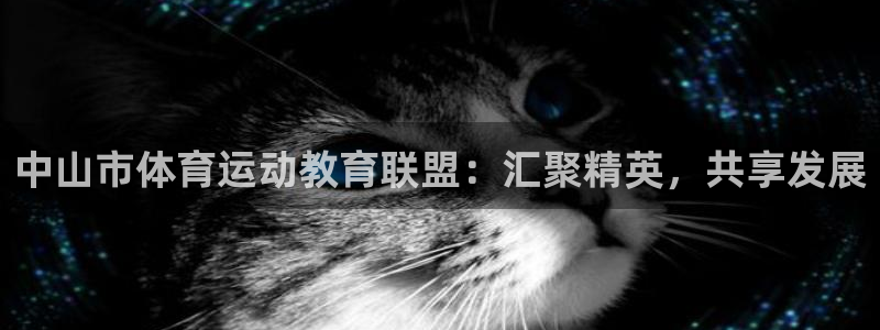 MK体育官网下载娱乐:中山市体育运动教育联盟:汇聚精英,共享